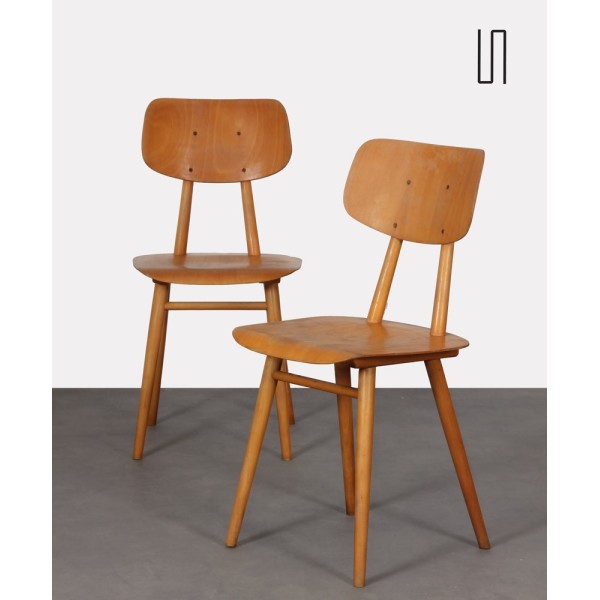 Paire de chaises d'Europe de l'Est, 1960 - Design d'Europe de l'Est