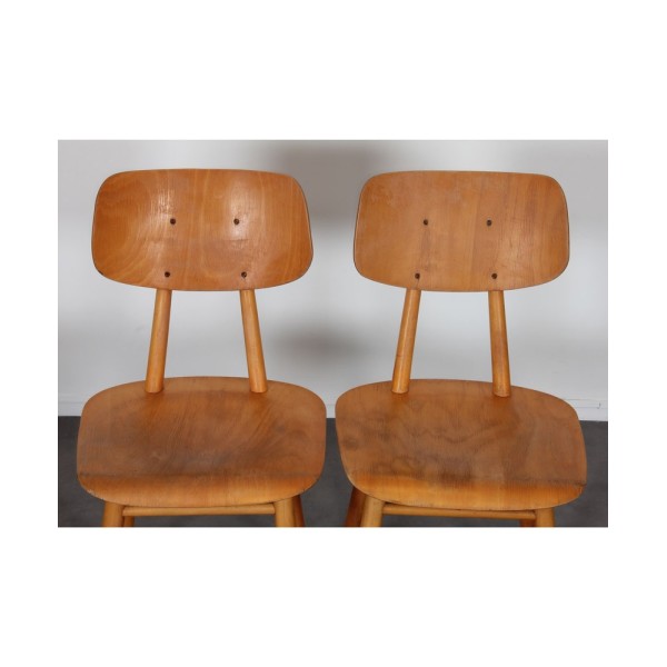 Paire de chaises d'Europe de l'Est, 1960 - Design d'Europe de l'Est