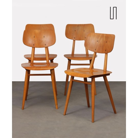 Ensemble de 4 chaises en bois produites par Ton, 1960