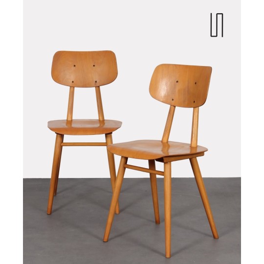 Pair of chairs from Eastern Europe, 1960s - Eastern Europe design