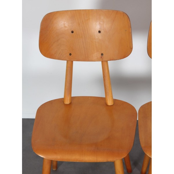 Paire de chaises d'Europe de l'Est, 1960 - Design d'Europe de l'Est