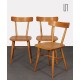 Set of 3 vintage chairs edited by Ton, 1960s - Eastern Europe design