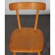 Set of 3 vintage chairs edited by Ton, 1960s - Eastern Europe design