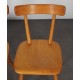 Set of 3 vintage chairs edited by Ton, 1960s - Eastern Europe design