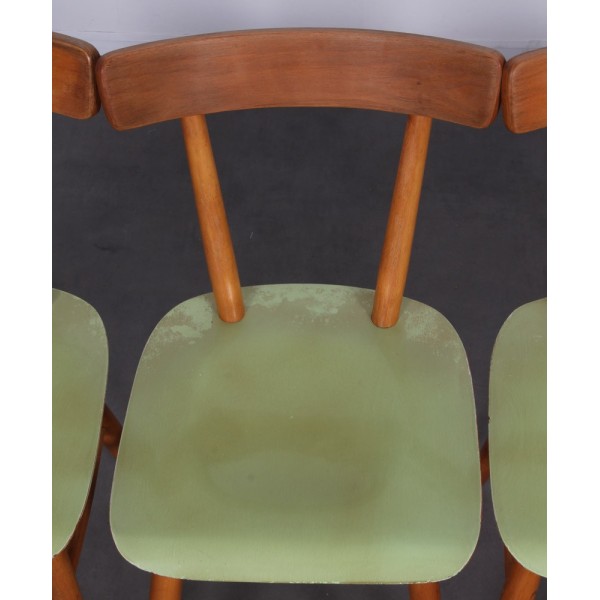 Suite of 4 green chairs edited by Ton, circa 1960 - Eastern Europe design