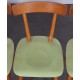 Suite of 4 green chairs edited by Ton, circa 1960 - Eastern Europe design