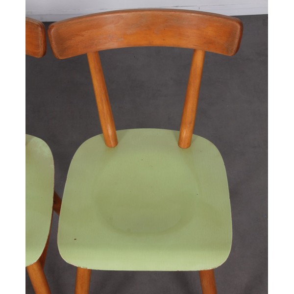 Suite of 4 green chairs edited by Ton, circa 1960 - Eastern Europe design