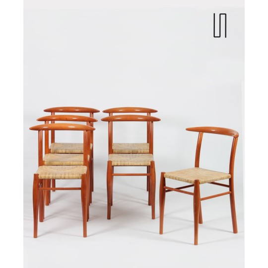 Suite de 6 chaises Tessa Nature par Philippe Starck pour Driade, 1989 - 