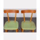 Suite of 4 green chairs edited by Ton, circa 1960 - Eastern Europe design