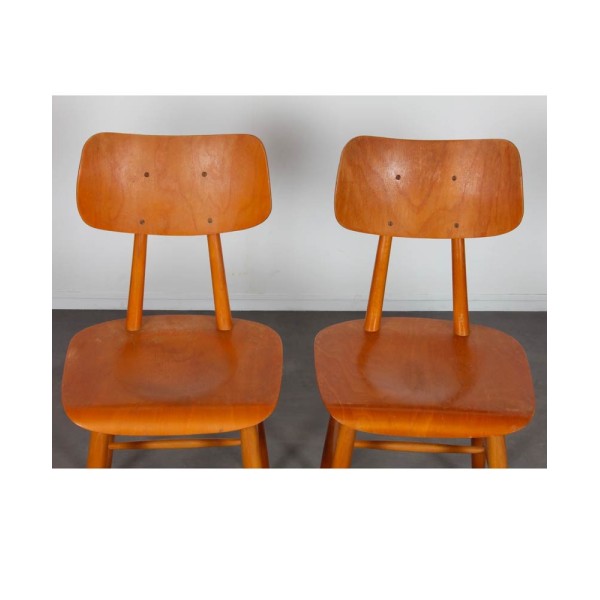 Paire de chaises d'Europe de l'Est, 1960 - Design d'Europe de l'Est