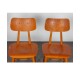 Pair of chairs from Eastern Europe, 1960s - Eastern Europe design