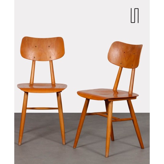 Pair of chairs from Eastern Europe, 1960s