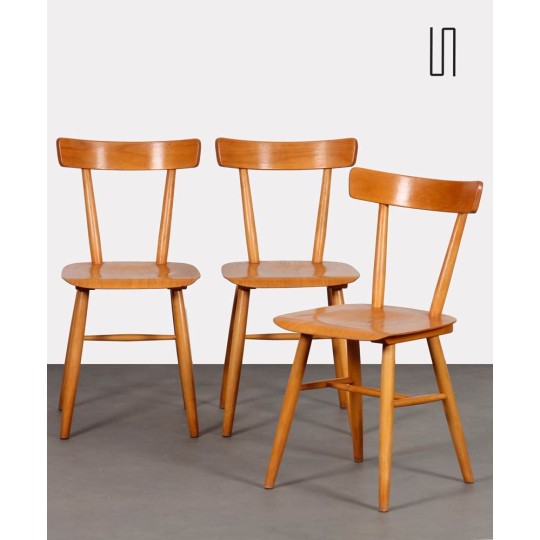 Set of 3 vintage chairs edited by Ton, 1960s - Eastern Europe design