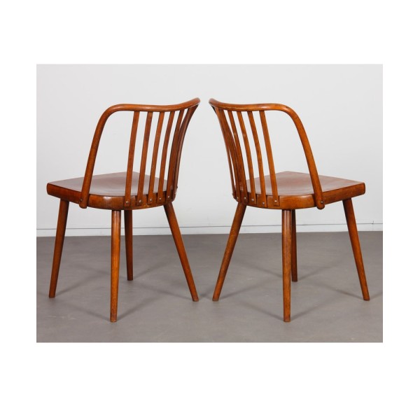 Pair of vintage chairs by Antonin Suman for Ton, 1960s - Eastern Europe design