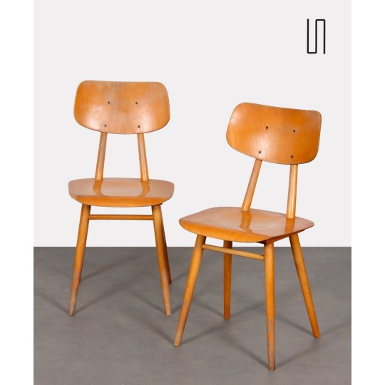 Pair of 2 wooden chairs produced by Ton, 1960s - Eastern Europe design