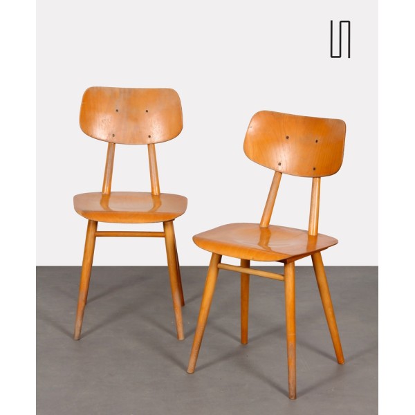 Pair of 2 wooden chairs produced by Ton, 1960s - Eastern Europe design