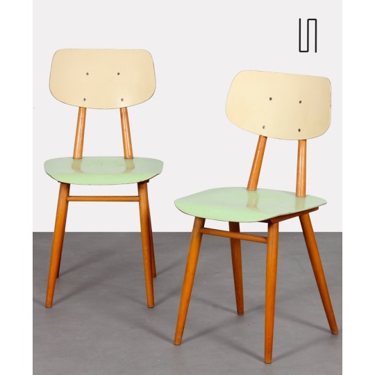 Paire de chaises vertes pour Ton, 1960